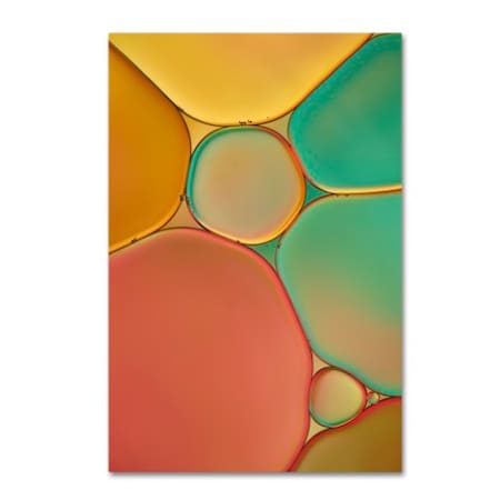 Cora Niele 'Red Yellow And Green Drops' Canvas Art,16x24